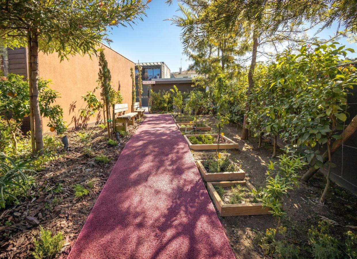 Vale De Sao Torcato Hotel Rural Guimarães Eksteriør bilde
